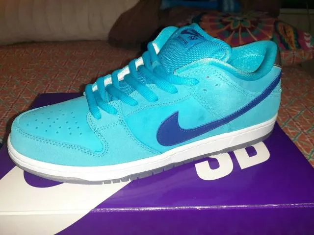 Nike SB Dunk Low Pro  Blue Fury Size 11 Deadstock 